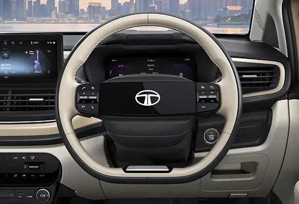 altrozsteering