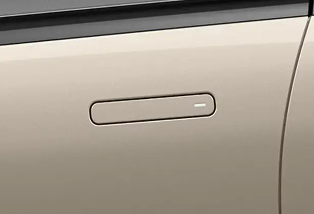flushdoorhandles